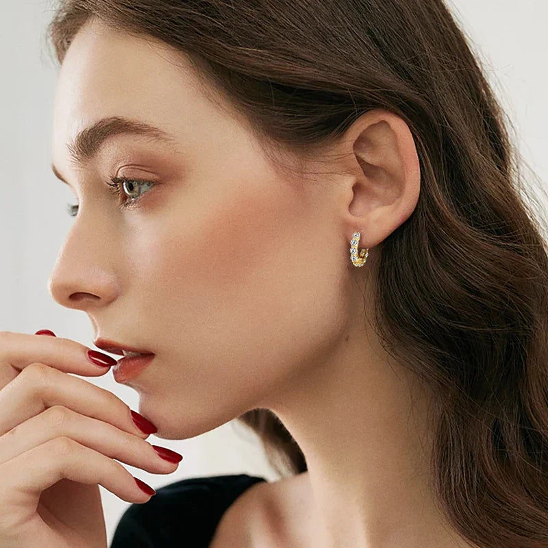 Luna Moissanite| Hoop Earrings